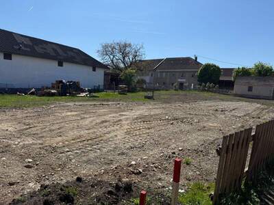 Mehrfamilienhaus kaufen in 4614 Marchtrenk (Bild 4)