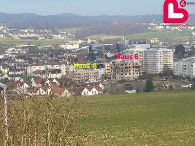 Public Housing mieten in 4210 Oberösterreich