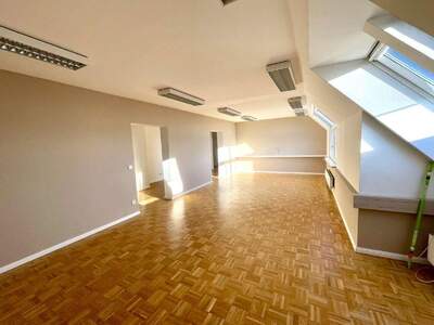 Gewerbeobjekt mieten in 1230 Wien (Bild 1)