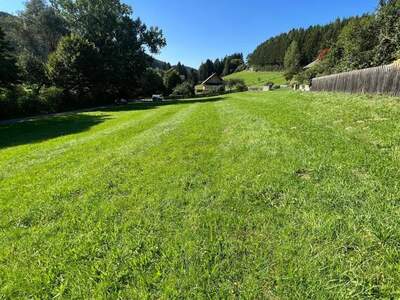 Grundstück kaufen in 8102 Semriach