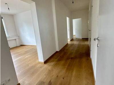 Terrassenwohnung kaufen in 2540 Bad Vöslau (Bild 3)