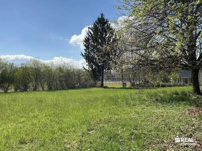 Grundstück kaufen in 6890 Lustenau