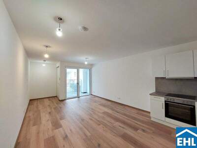 Terrassenwohnung mieten in 1110 Wien (Bild 1)