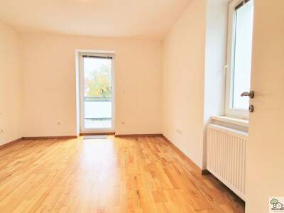 Wohnung mieten in 2483 Ebreichsdorf (Bild 4)