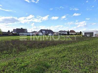 Grundstück kaufen in 4651 Stadl Paura