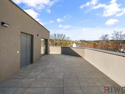 Terrassenwohnung kaufen in 2120 Wolkersdorf (Bild 2)