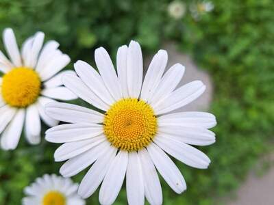 Mietwohnung in 8403 Lebring