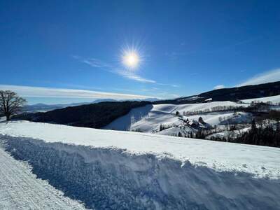 Haus kaufen in 9112 Griffen (Bild 3)