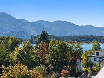 Terrassenwohnung kaufen in 9580 Drobollach (Bild 2)