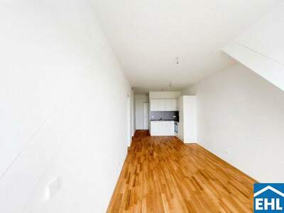 Terrassenwohnung mieten in 1110 Wien (Bild 2)