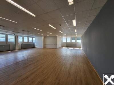 Gewerbeobjekt mieten in 4050 Traun (Bild 1)
