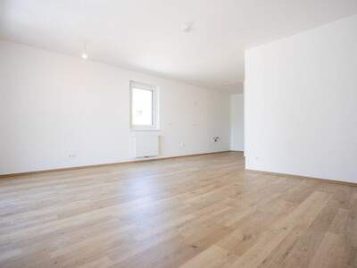 Terrassenwohnung kaufen in 2700 Wr. Neustadt (Bild 4)