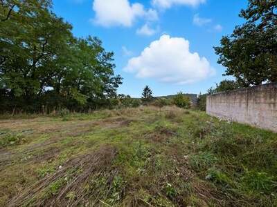 Grundstück kaufen in 3701 Großweikersdorf