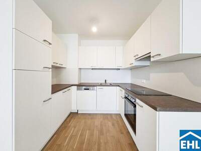 Terrassenwohnung mieten in 1230 Wien (Bild 5)