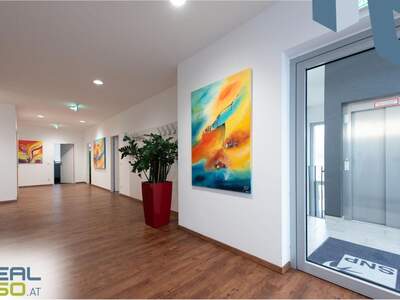 Gewerbeobjekt mieten in 4061 Pasching (Bild 2)