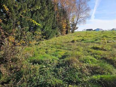 Grundstück kaufen in 5201 Seekirchen