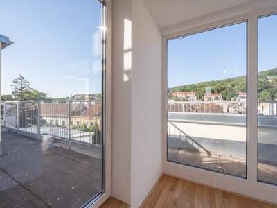 Wohnung kaufen in 1130 Wien