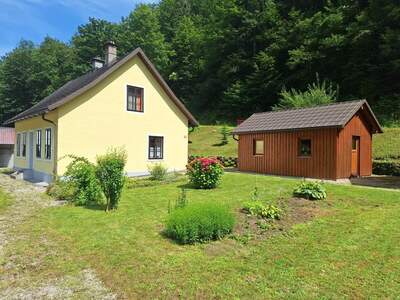 Einfamilienhaus kaufen in 3292 Gaming (Bild 3)