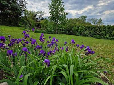 Grundstück kaufen in 3430 Chorherrn