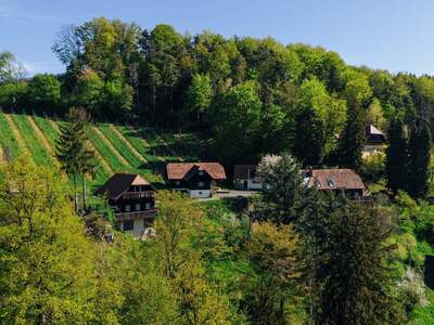 Haus kaufen in 8462 Gamlitz (Bild 5)