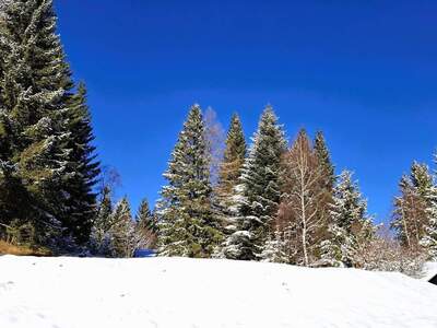 Grundstück kaufen in 8742 Sankt Anna