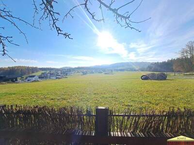 Haus mit Garten kaufen in 8160 Weiz (Bild 3)