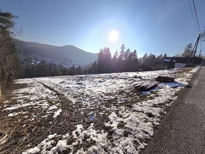 Grundstück kaufen in 3011 Purkersdorf (Bild 4)