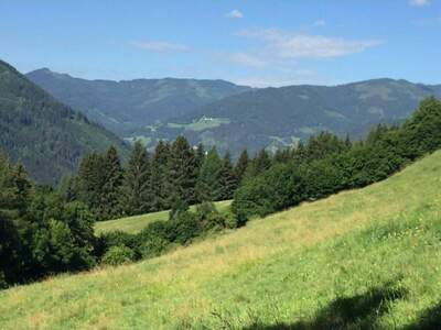 Gewerbeobjekt kaufen in 8756 Sankt Georgen