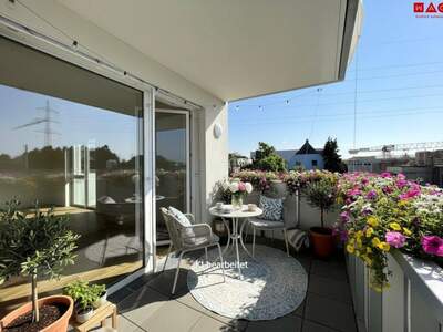 Wohnung mieten in 4060 Leonding