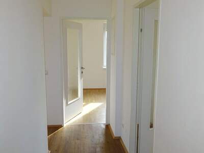 Wohnung mit Balkon mieten in 4501 Neuhofen (Bild 1)