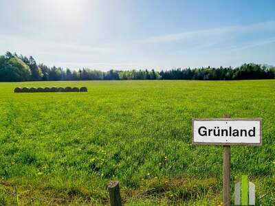Grundstück kaufen in 5162 Obertrum