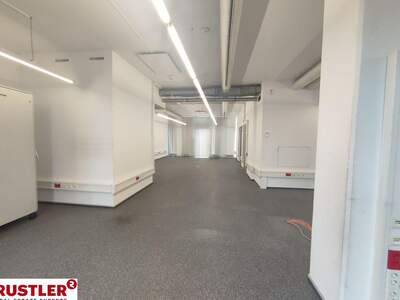 Gewerbeobjekt mieten in 4040 Linz (Bild 5)