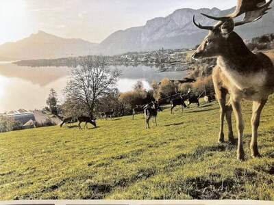 Mietwohnung in 5310 Mondsee