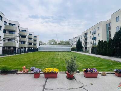 Grundstück kaufen in 1210 Wien (Bild 1)