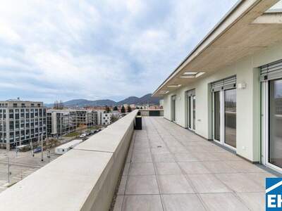 Terrassenwohnung mieten in 8020 Graz (Bild 1)