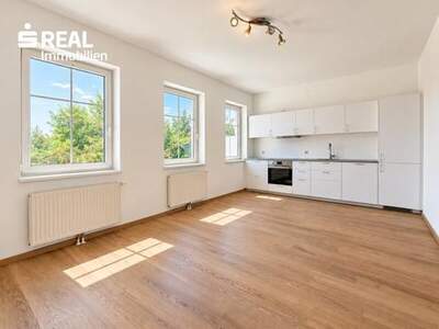 Wohnung mieten in 2136 Laa