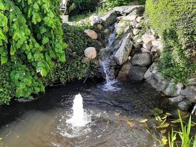 Einfamilienhaus kaufen in 3390 Melk (Bild 5)