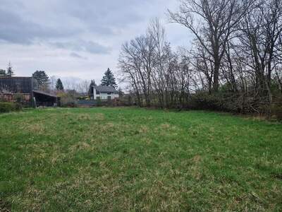 Grundstück kaufen in 3484 Grafenwörth