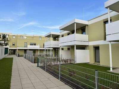 Wohnung mieten in 2540 Bad Vöslau