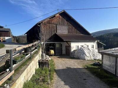 Gewerbeobjekt kaufen in 8184 Anger