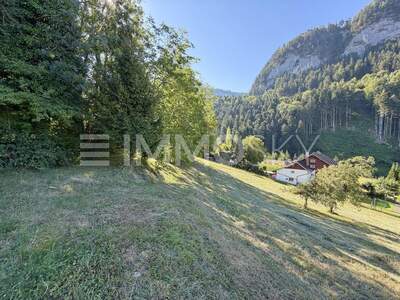 Grundstück kaufen in 6840 Götzis (Bild 5)