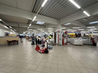 Gewerbeobjekt mieten in 2700 Wiener Neustadt (Bild 5)