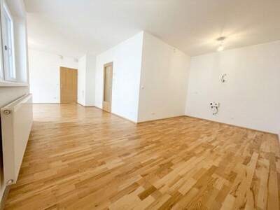 Terrassenwohnung mieten in 3250 Wieselburg (Bild 3)