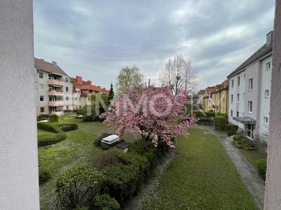 Terrassenwohnung kaufen in 2100 Korneuburg (Bild 3)