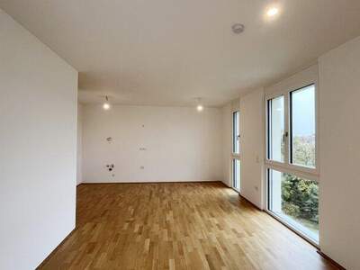 Terrassenwohnung kaufen in 1230 Wien (Bild 5)