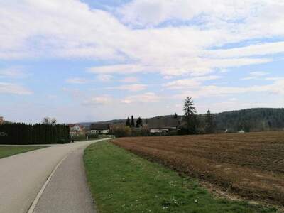 Grundstück kaufen in 8261 Sinabelkirchen (Bild 3)