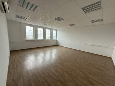Büro / Praxis mieten in 2351 Wr. Neudorf (Bild 4)