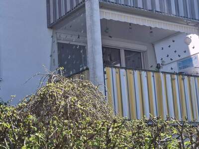Mietwohnung provisionsfrei in 8561 Kleinsöding