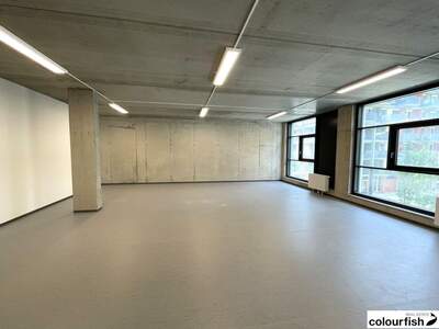 Gewerbeobjekt mieten in 1220 Wien (Bild 5)