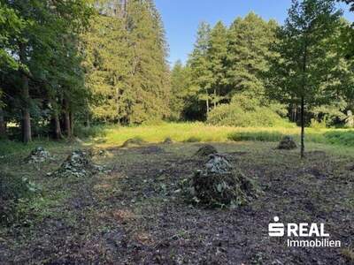 Grundstück kaufen in 4575 Roßleithen (Bild 3)